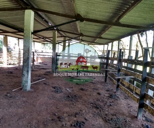 Imagem 12 de 29 de Fazenda Medindo 103 Alqueires Paulista No Vale Do Ribeira Sp Ref.: 0372