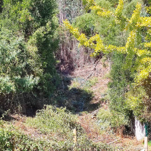 Terreno Con Proyecto Aprobado En Sector De Villuco