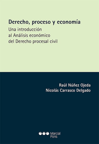 Derecho, Proceso Y Economía - Núñez Ojeda, Raúl  - *