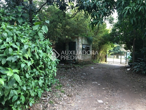 Imagem 4 de 15 de Terreno - Barnabe - Ref: 267395 - V-267395