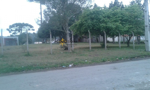 Imagem 2 de 11 de Terreno A Venda No Bairro Dom Rodrigo Em São José Dos - 5834-1