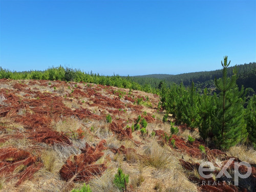 Sitio L37 Vista Amplia En Venta En Pichilemu