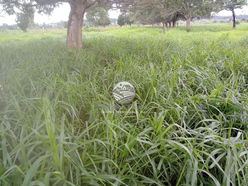 Imagem 14 de 14 de Venda Sítio Machadinho D'oeste Em Rondônia - Sia247