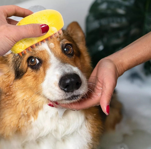 Pente Escova Massagem Com Spray Elétrico Recarga Usb P Pets