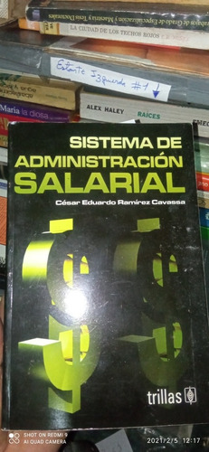 Sistema De Administración Salarial. César Eduardo Ramírez