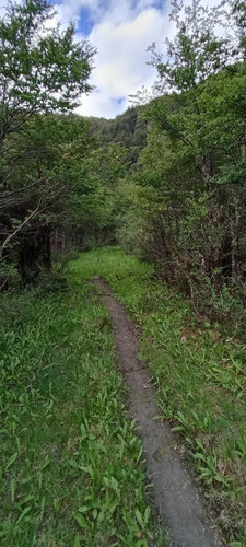 A 16 Km De Rio Tranquilo, Campo 100 M2 Orilla De Rio.