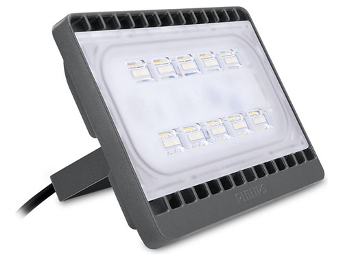 Foco/proyector Led Para Exterior De 30w, Neutro - Philips Ph