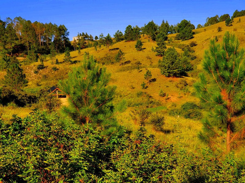 Villa Berna-lotes De 1 Hectárea -vertientes- Luz Agua-escritura