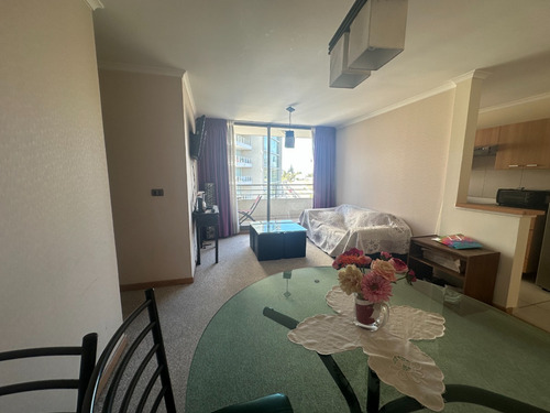 Gran Oferta Vendo Departamento Frente U. Santa Maria Viña