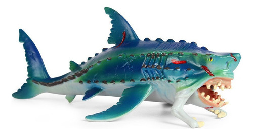 Maravilloso Mundo Océano Modelo Juguete Monstruo Pez Serie