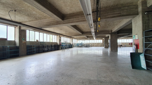 Depósito Piso Industrial Alquiler Ruiz Pineda 1270 Mts2 Sonmetros2 B-9qnx 0406