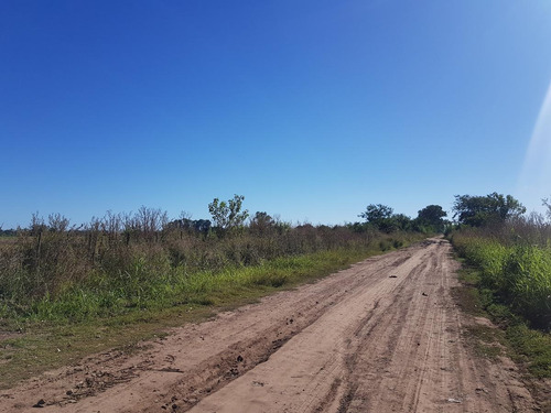 Imagen 3 de 5 de Terreno - Zarate