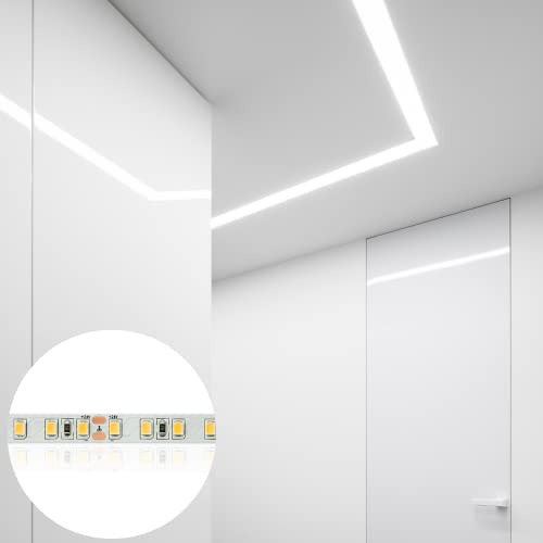 Tira De Luz Led Blanca Nuova Germany, 24 V Dc, 16.4 Pies