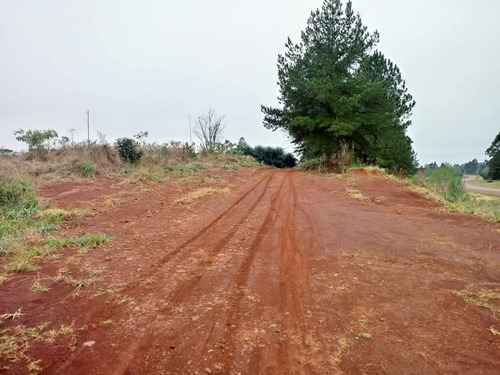 Imagen 2 de 7 de Loteo Don Kurrle, Hermosos Terrenos En San Pedro, Misiones