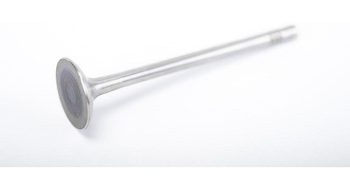 Imagen 2 de 4 de Valvula De Admision Volkswagen Bora 1984 07/10
