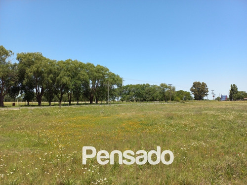 Imagen 17 de 18 de En Venta 1 Hectarea Con Servicios