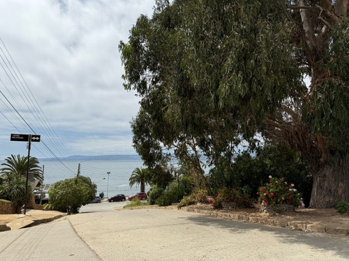 Algarrobo