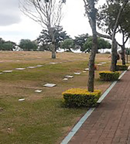 Vendo Jazigo Com 3 Gavetas No Cemitério Parque Dos Flamboyants Campinas - Sp, Quadra Vi, Setor B 79a