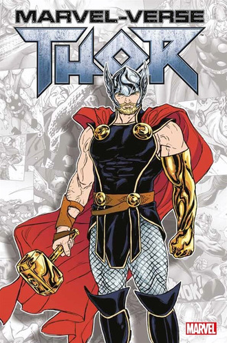 Thor: Marvel-Verse, de Simonson, Louise. Editora Panini Brasil LTDA, capa mole em português, 2022