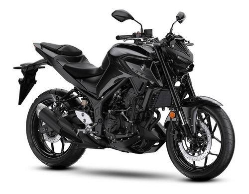 Imagen 3 de 3 de Yamaha Mt 03 Gris 0km Entrega Inmediata Y El Mejor Precio!