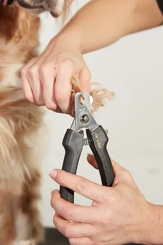 Andis premium top pet grooming tools