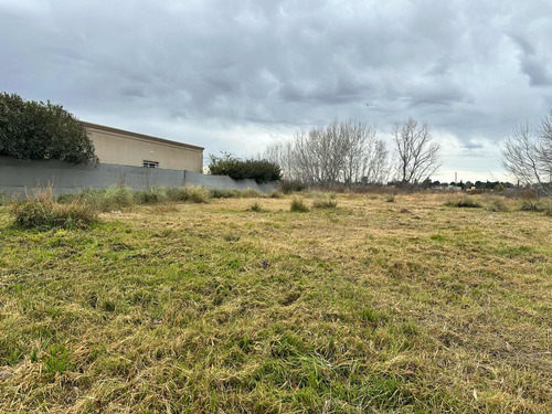 Terreno Ramón Y Cajal Al 4300