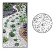 Comprar Confitillo Blanco-gris \u002Fsaco De 40 Kg \u002F Maceteros Grandes