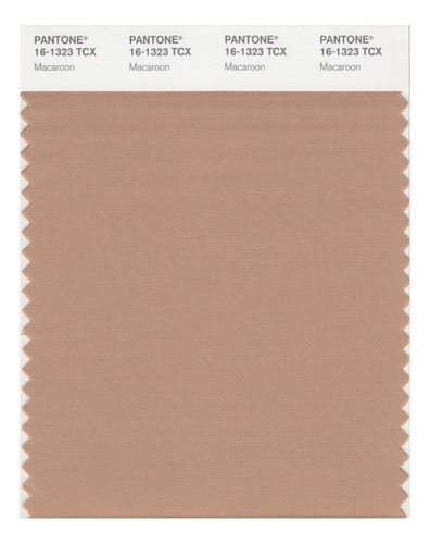 Tarjeta Muestra Color Inteligente Pantone 16-1323x