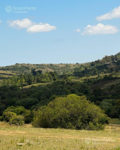 Imagen 4 de 15 de Chacras Financiadas En Minas Lavalleja