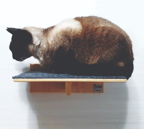 Imagem 3 de 5 de Kit Com 20 Peças Para Gatos