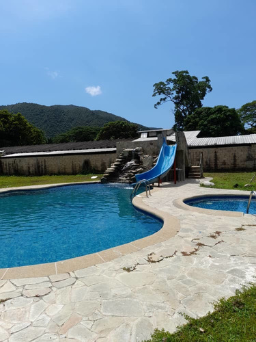 Imagen 16 de 30 de En Venta Finca En Ocumare De La Costa, Aragua