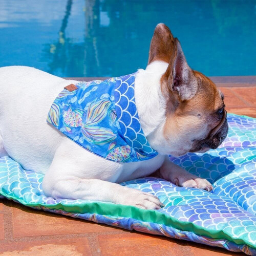 Bandana Pet Jr Dupla Face Para Cachorros E Gatos Escamas Cor Marinho Escamas PP