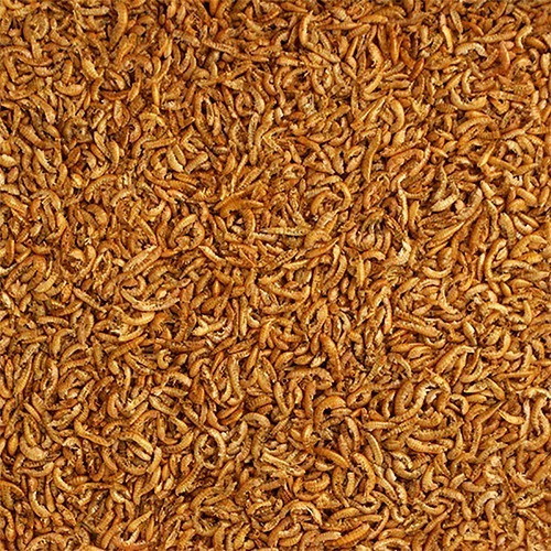Imagen 2 de 3 de Alimento Para Tortugas Acuáticas. Labcon Gammarus 7g