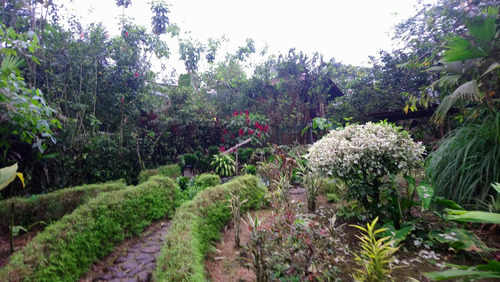 Imagen 3 de 24 de Finca Vacacional- Hosteria