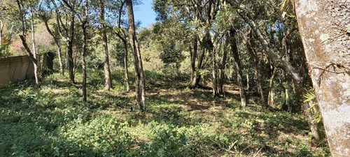 Imagem 11 de 14 de Chácara Em Condomínio Fechado, 25mil M2