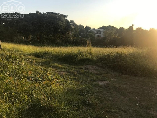 Imagem 5 de 7 de Terreno - Tr02045 - 69523579