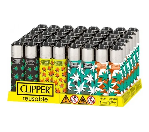 Yesqueros Clipper
