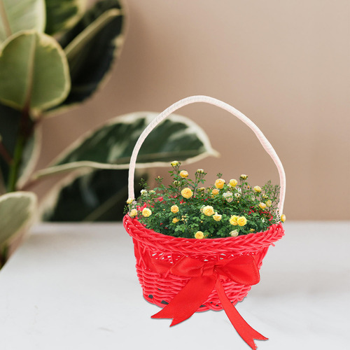 5 Cestas Pequeñas De Mimbre Con Asas, Forma Redonda, Flor De
