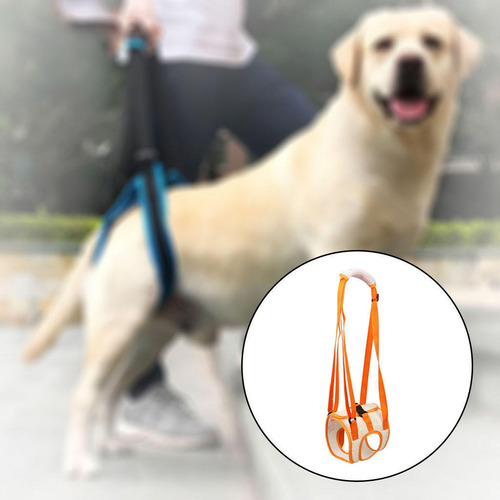 . Perros Espalda Patas Traseras Arnés De Soporte For Patas
