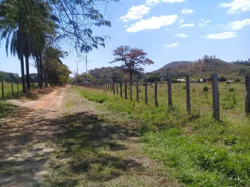 Imagen 6 de 30 de Finca De 440 Has En Cojedes-acarigua. 3 Pozos De Agua, Electricidad.