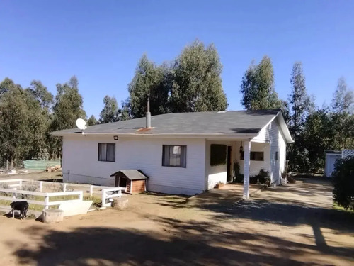 Venta De Parcela En Fundo La Petrilla, Algarrobo