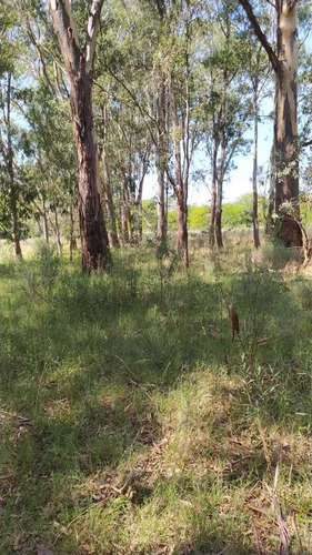 Terreno Venta Las Heras