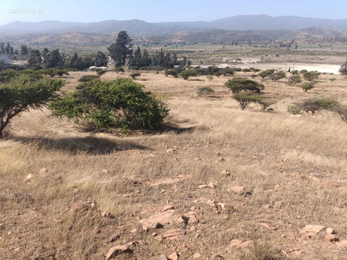 Terreno A Orilla De Carretera En Tabolango (96812)
