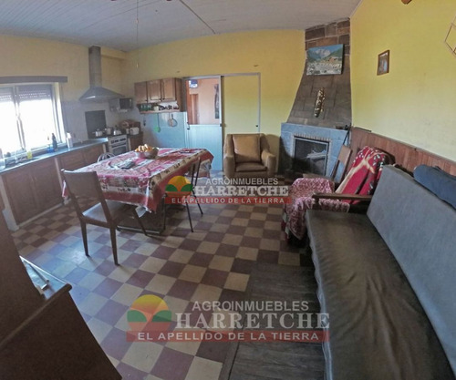 Imagen 8 de 30 de Chacra 3 Has En Melilla, Construcciones, Casi Ruta 5
