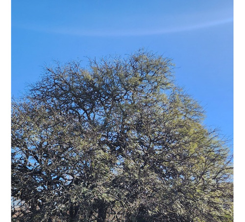 Hermoso Lote Con Excelente Ubicación En Santa Rosa De Calamuchita