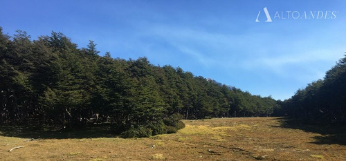 Sitio En Venta En Cisnes