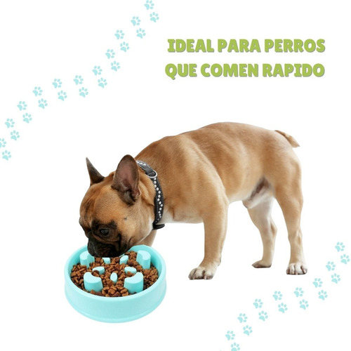 Imagen 7 de 9 de Plato Come Lento Para Mascotas Anti-ansiedad/ Fauna Salud