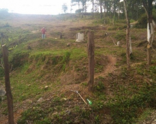 Imagem 5 de 12 de Terreno - Te-27 - 32142525