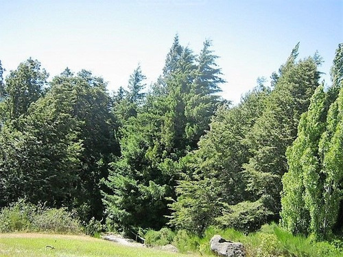 Turístico En Venta Ubicado En Lago Gutiérrez, Bariloche