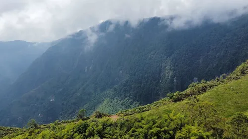 Vendo Permuto Finca Líbano Tolima